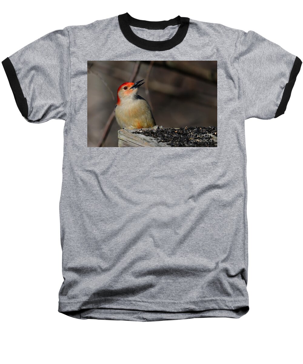 Woodpecker Baseball T-Shirt featuring the photograph Red-Bellied Woodpecker by Lois Bryan
