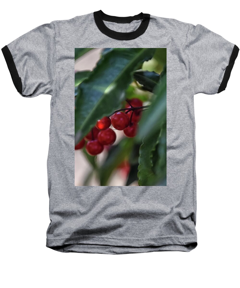 Red Baseball T-Shirt featuring the photograph Red Berry by Kuni Photography