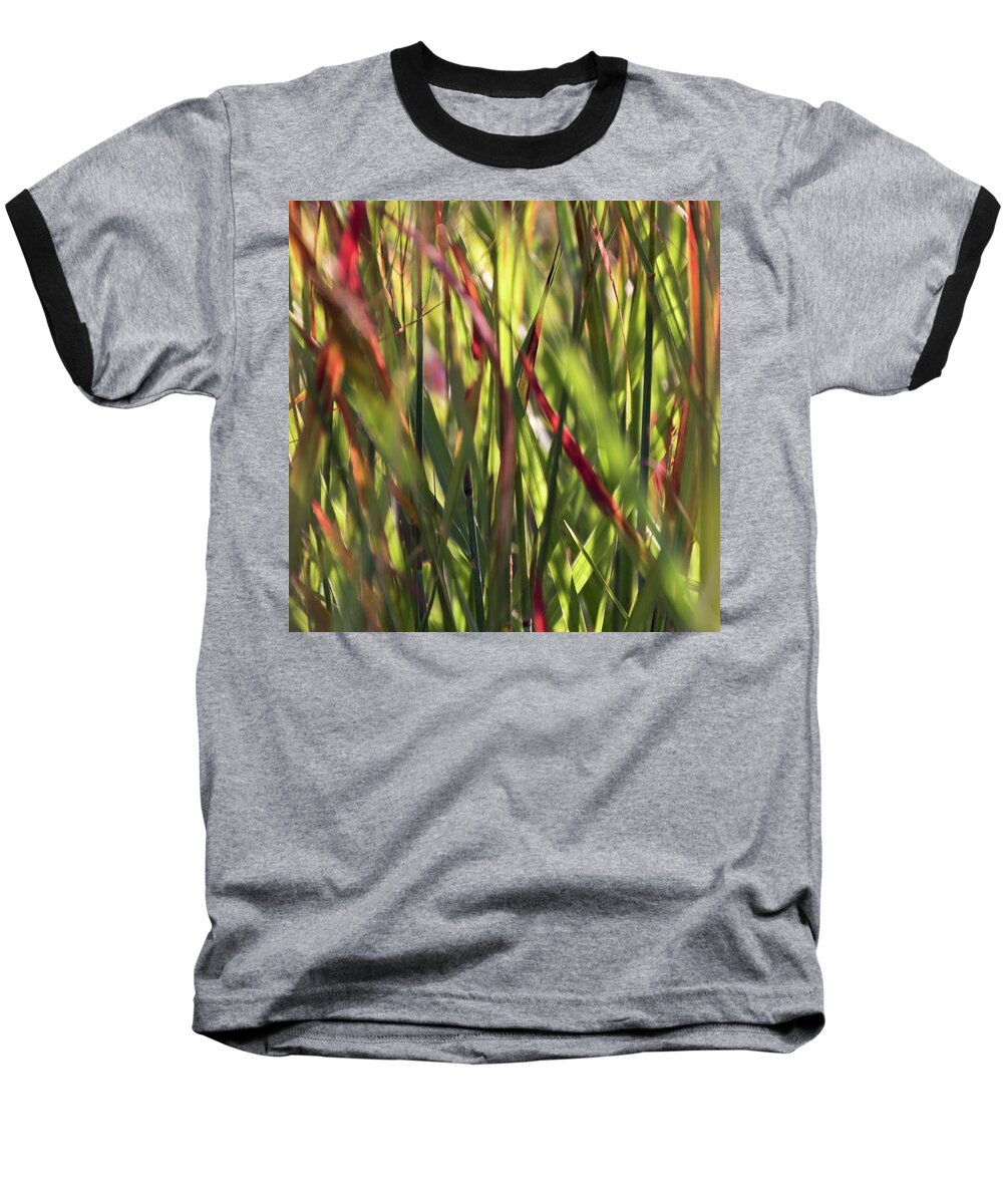 Red Blades Baseball T-Shirt featuring the photograph Red Blades Among the Green - by Julie Weber