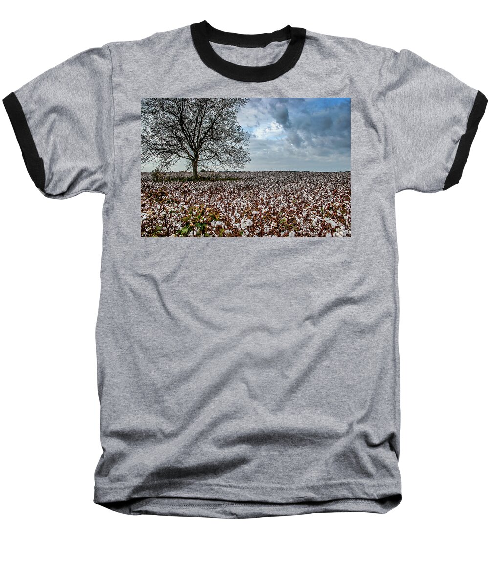 Red Cotton And The Tree Baseball T-Shirt featuring the digital art Red Cotton And The Tree by Michael Thomas