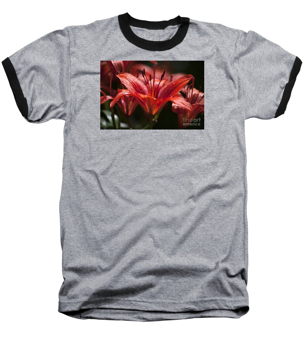 Red Baseball T-Shirt featuring the photograph Red Day Lily 20120615_52a by Tina Hopkins