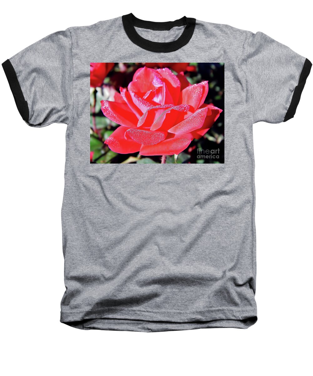Roses Baseball T-Shirt featuring the photograph Red - Dew Covered - Rose by D Hackett