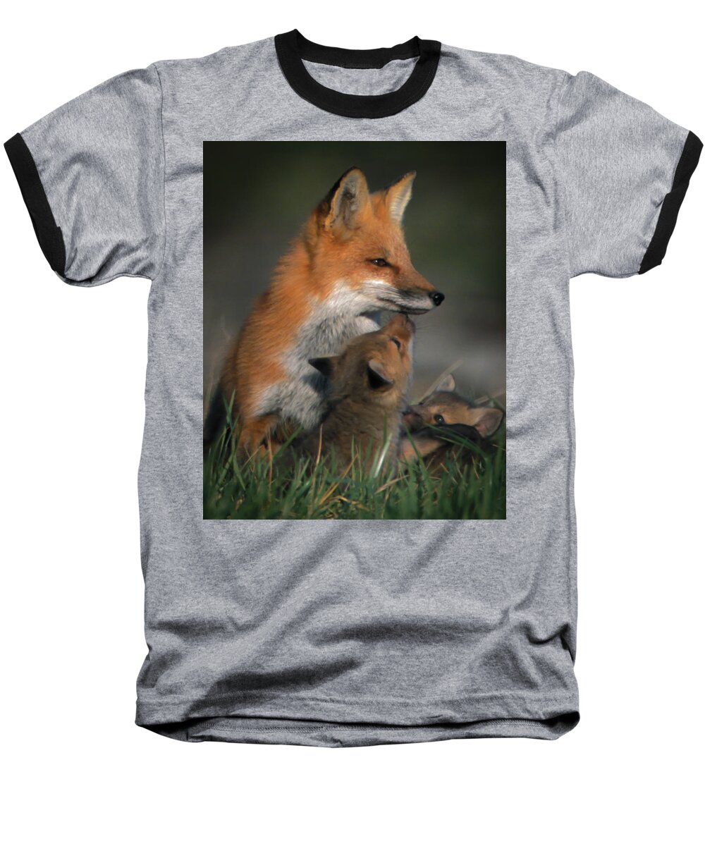 Johnson County Baseball T-Shirt featuring the photograph Red Fox Mother and Kits by Jeff Phillippi