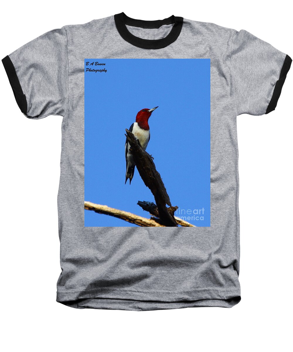 Red Headed Woodpecker Baseball T-Shirt featuring the photograph Red Headed Woodpecker on a Snag by Barbara Bowen