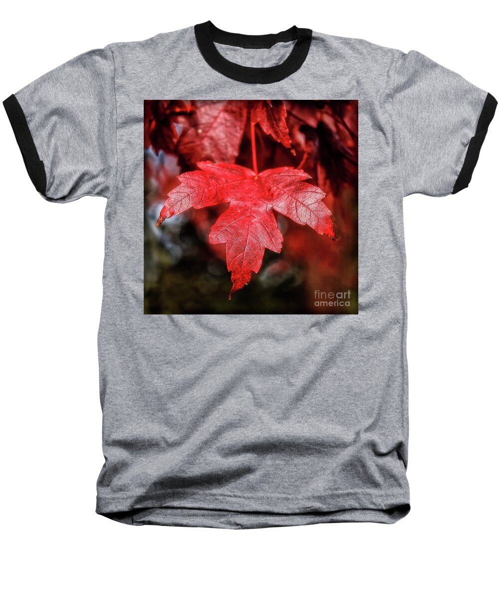 Maple Baseball T-Shirt featuring the photograph Red Leaf by Robert Bales