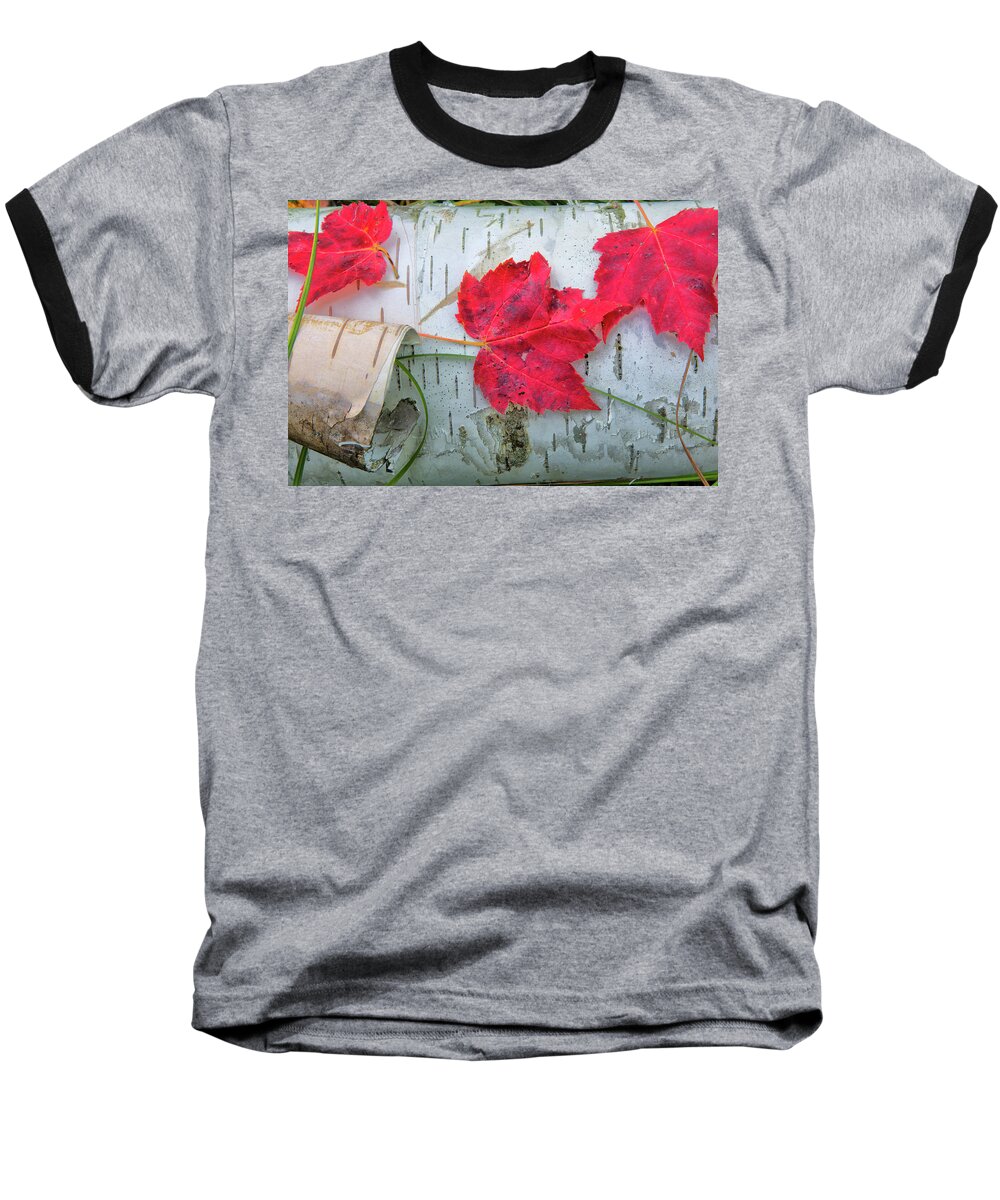 Maple Leaves Baseball T-Shirt featuring the photograph Red Leaves by Nancy Dunivin