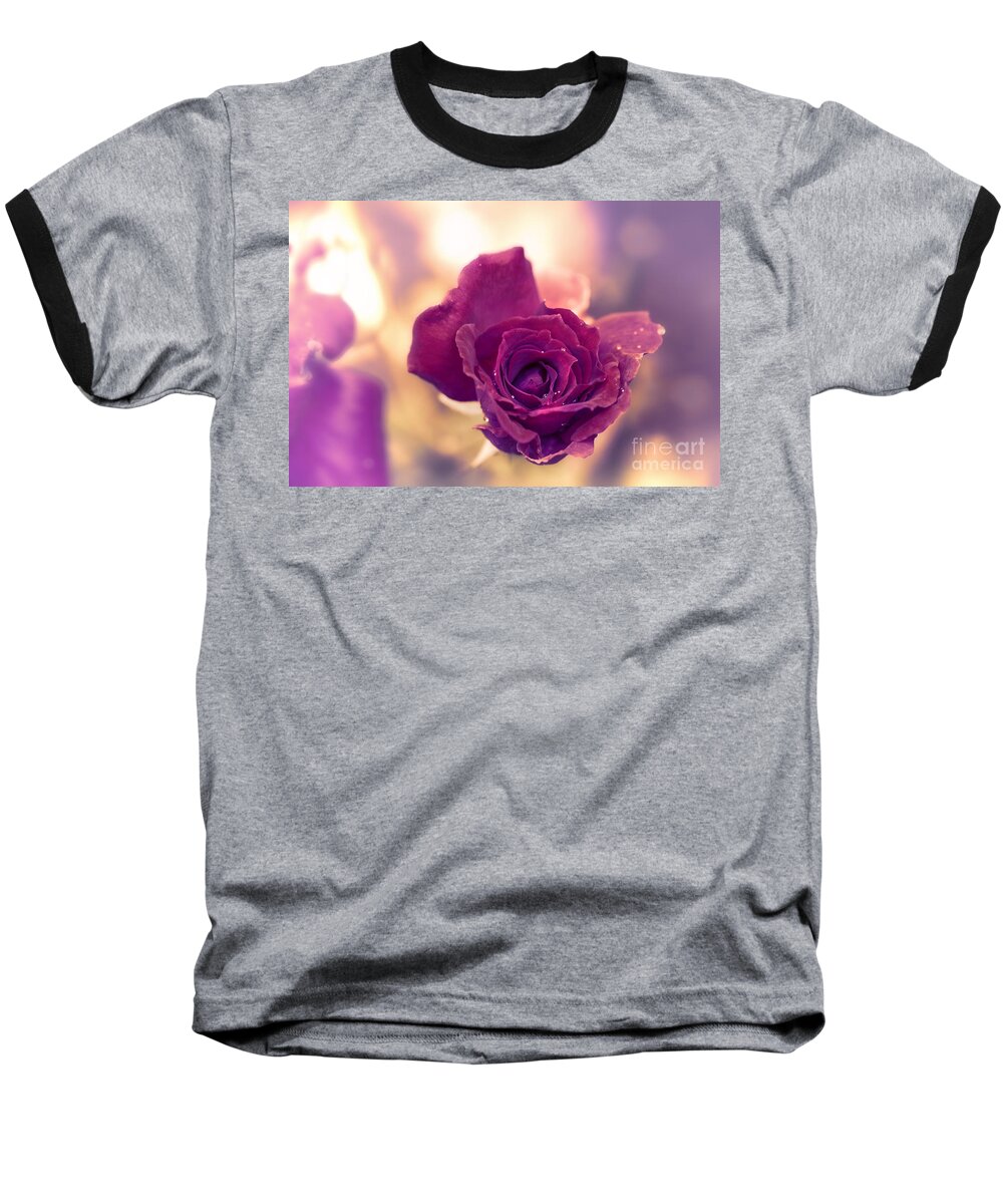 Red Rose Baseball T-Shirt featuring the photograph Red Rose by Charuhas Images