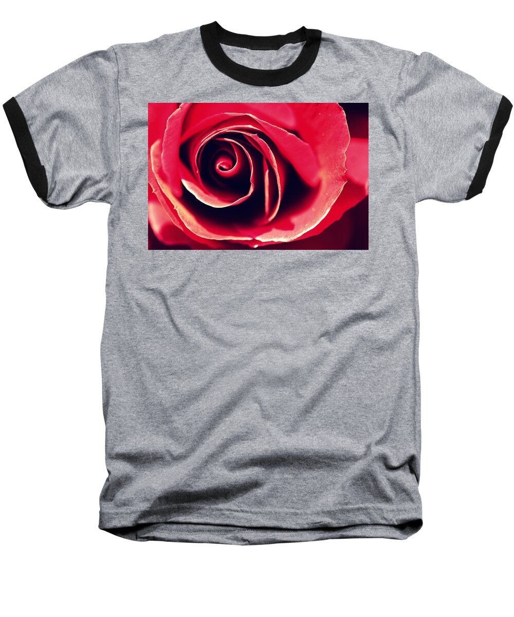 Flower Baseball T-Shirt featuring the photograph Red Rose by Joseph Skompski