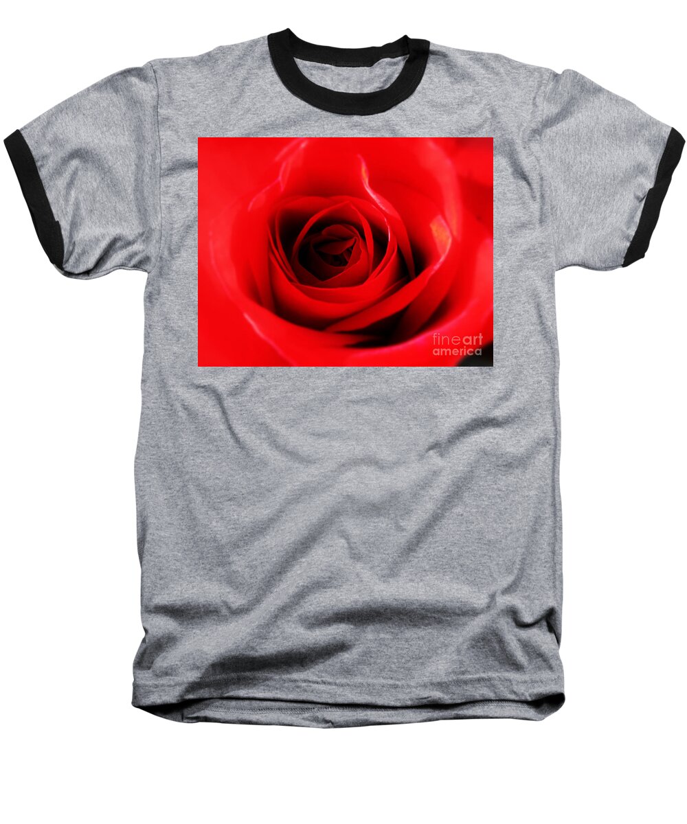 Red Baseball T-Shirt featuring the photograph Red Rose by Nina Ficur Feenan