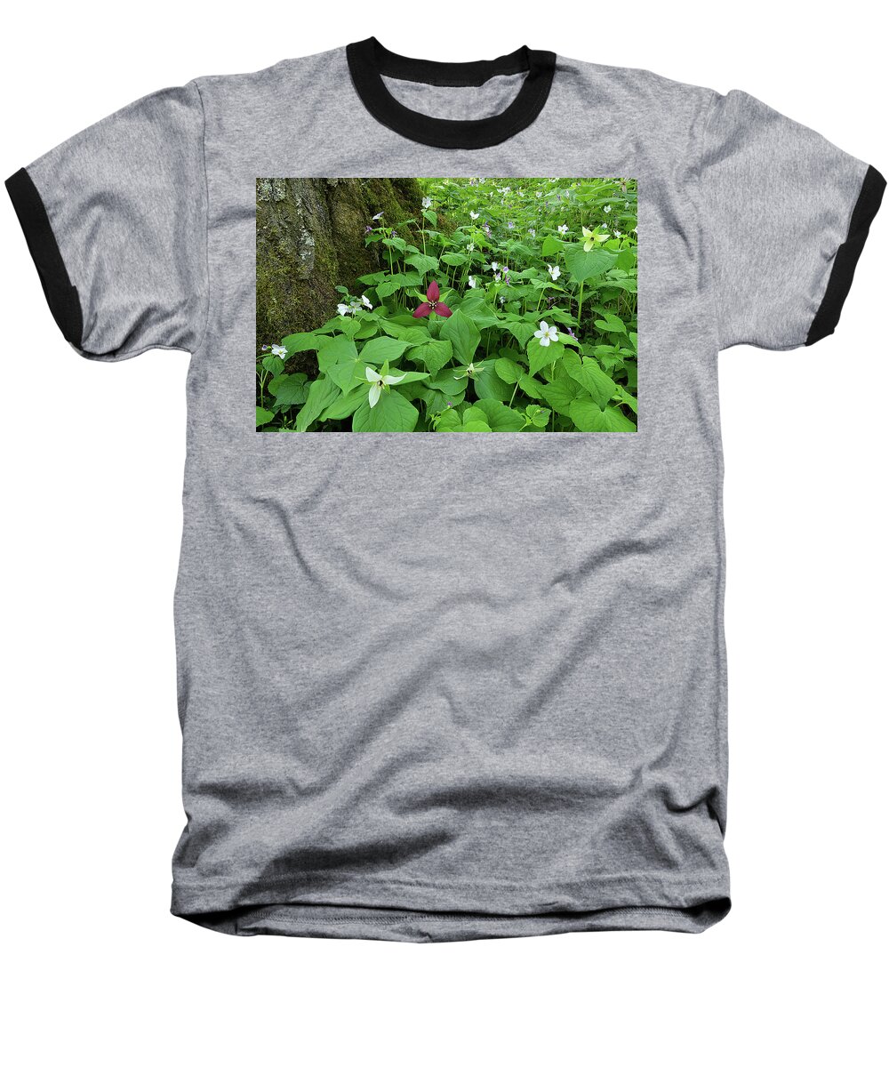 Plant Baseball T-Shirt featuring the photograph Red Trillium at Center by Alan Lenk