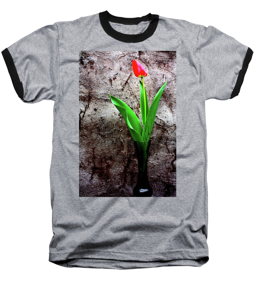 Red Tulip Baseball T-Shirt featuring the photograph Red Tulip by Gray Artus