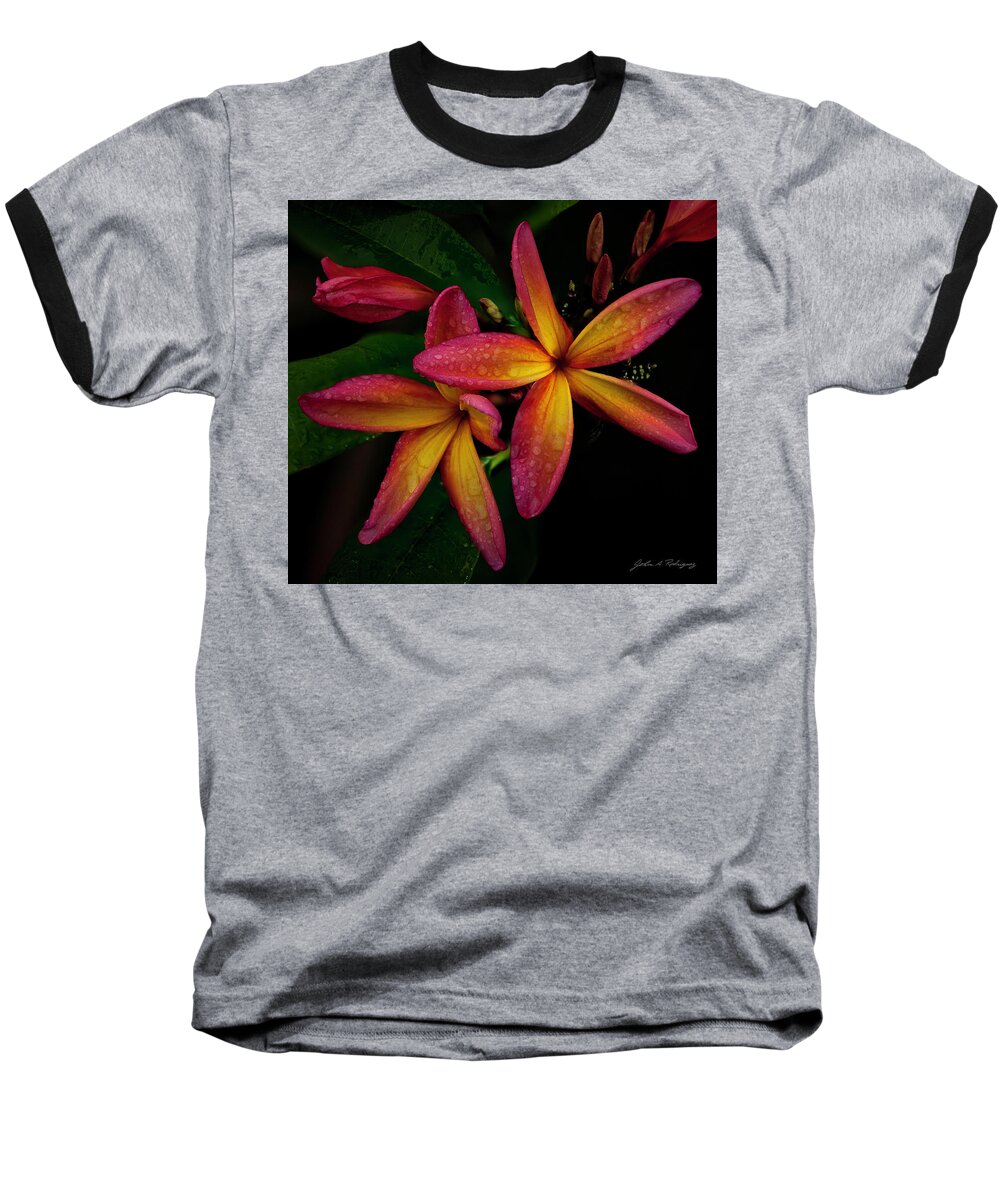 Plumeria Baseball T-Shirt featuring the photograph Red/Yellow Plumeria in Bloom by John A Rodriguez
