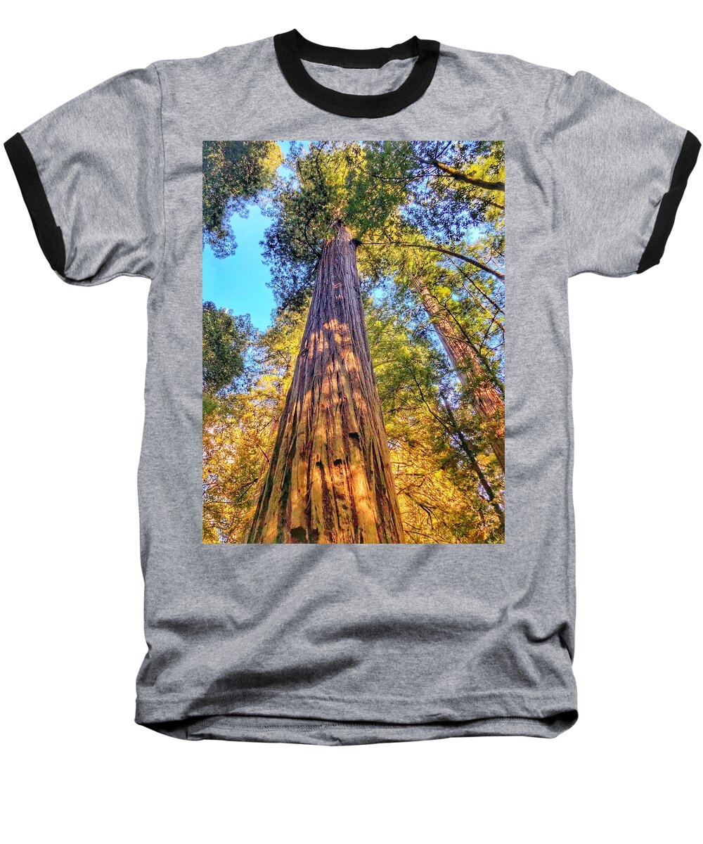 Jedediah Smith Redwoods State Park Baseball T-Shirt featuring the photograph Redwood by Bonnie Bruno
