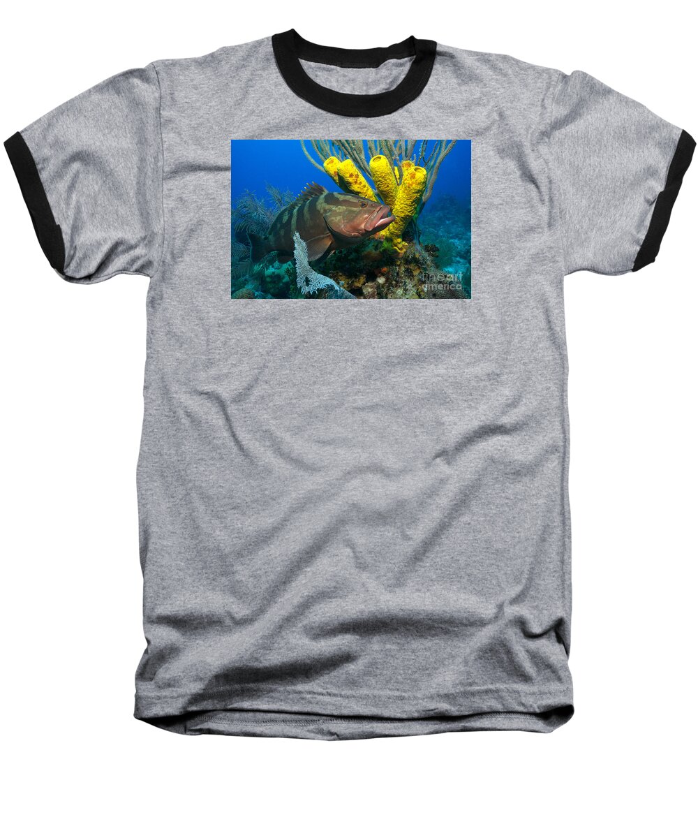Nassau Grouper Baseball T-Shirt featuring the photograph Reef Denizon by Aaron Whittemore