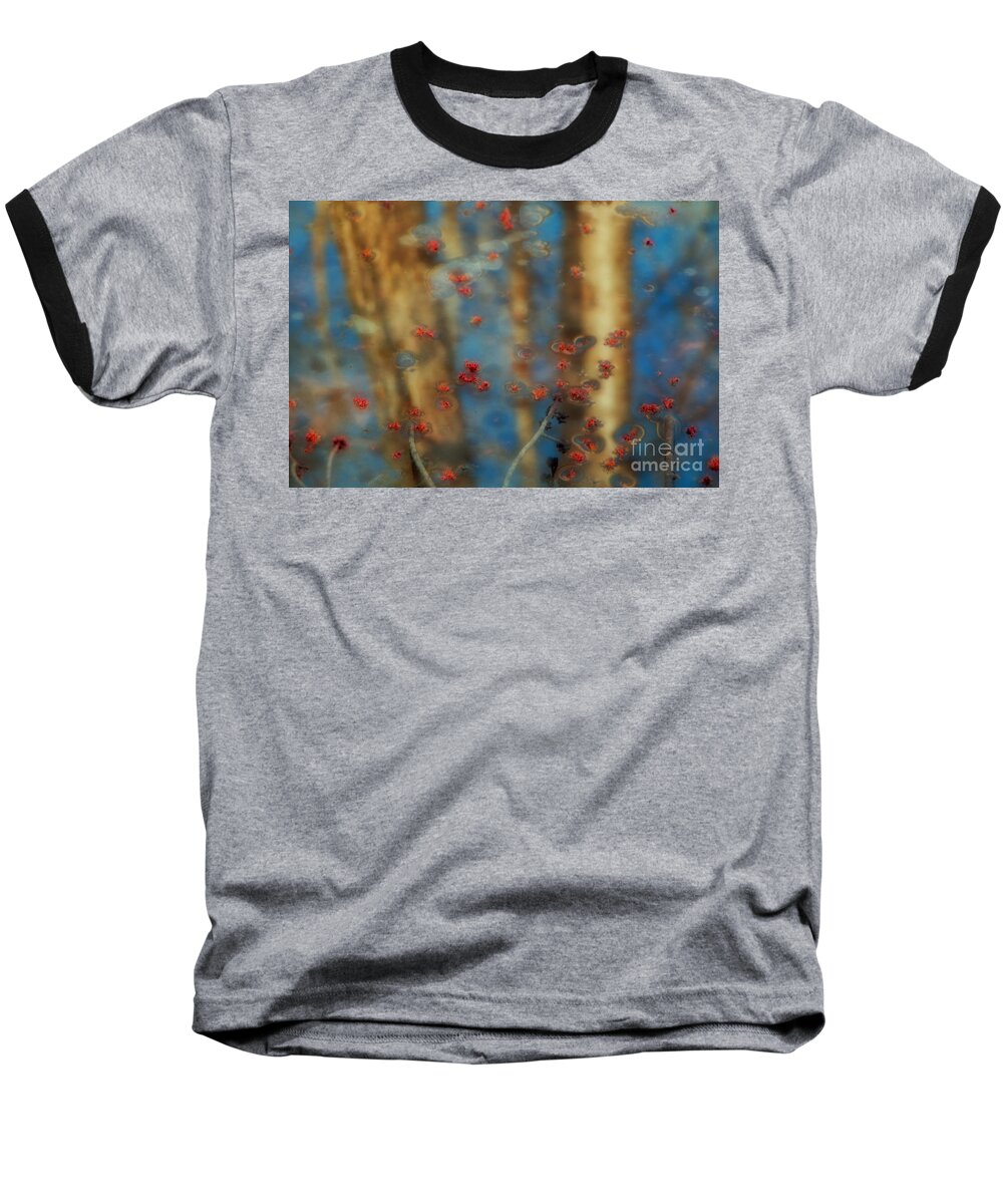 Trees Baseball T-Shirt featuring the photograph Reflecting Gold Tones by Elizabeth Dow