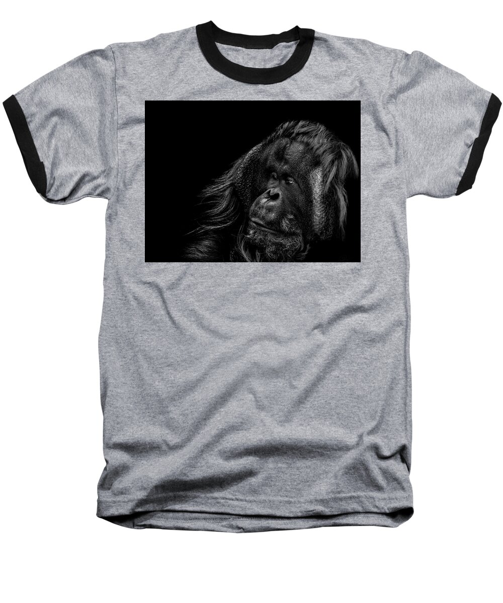 Orangutan Baseball T-Shirt featuring the photograph Respect by Paul Neville