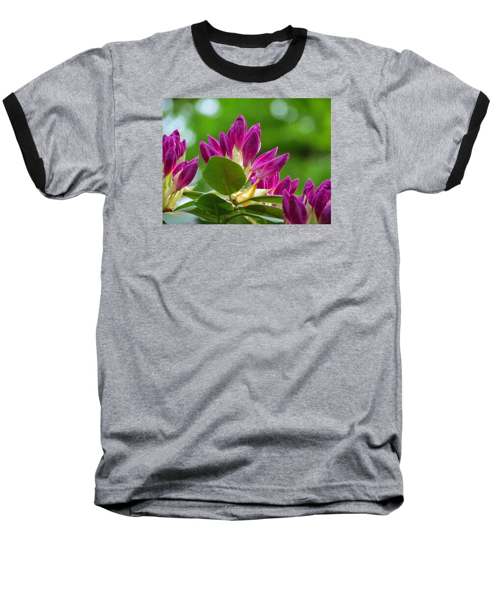 Rhododendron Baseball T-Shirt featuring the photograph Rhododendron Buds by MTBobbins Photography