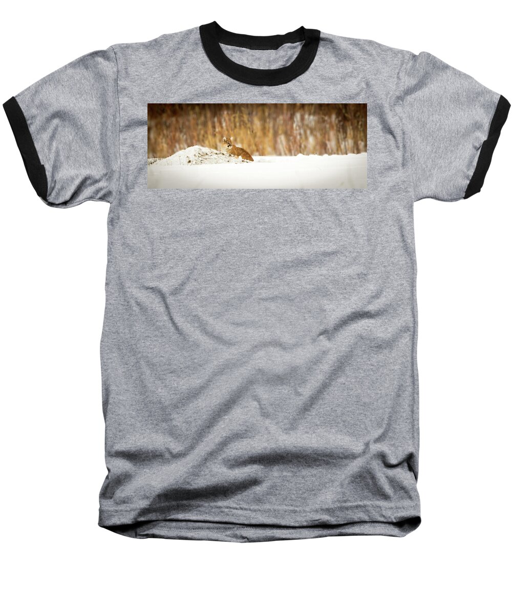 Lion Baseball T-Shirt featuring the photograph Rivers Treasure by Kevin Dietrich