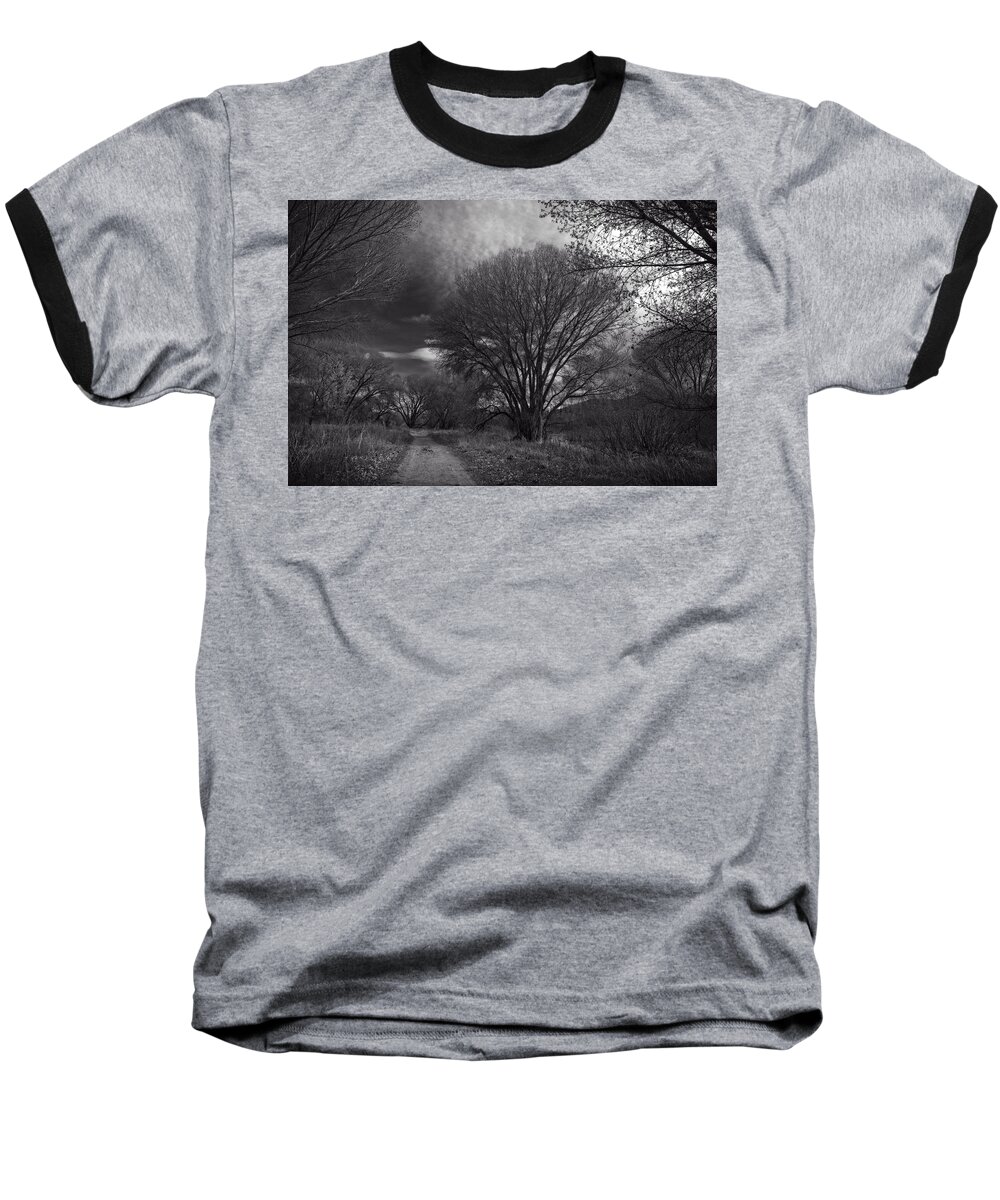 Willow Lake Preserve Baseball T-Shirt featuring the photograph Road through the cottonwoods by Sandra Selle Rodriguez