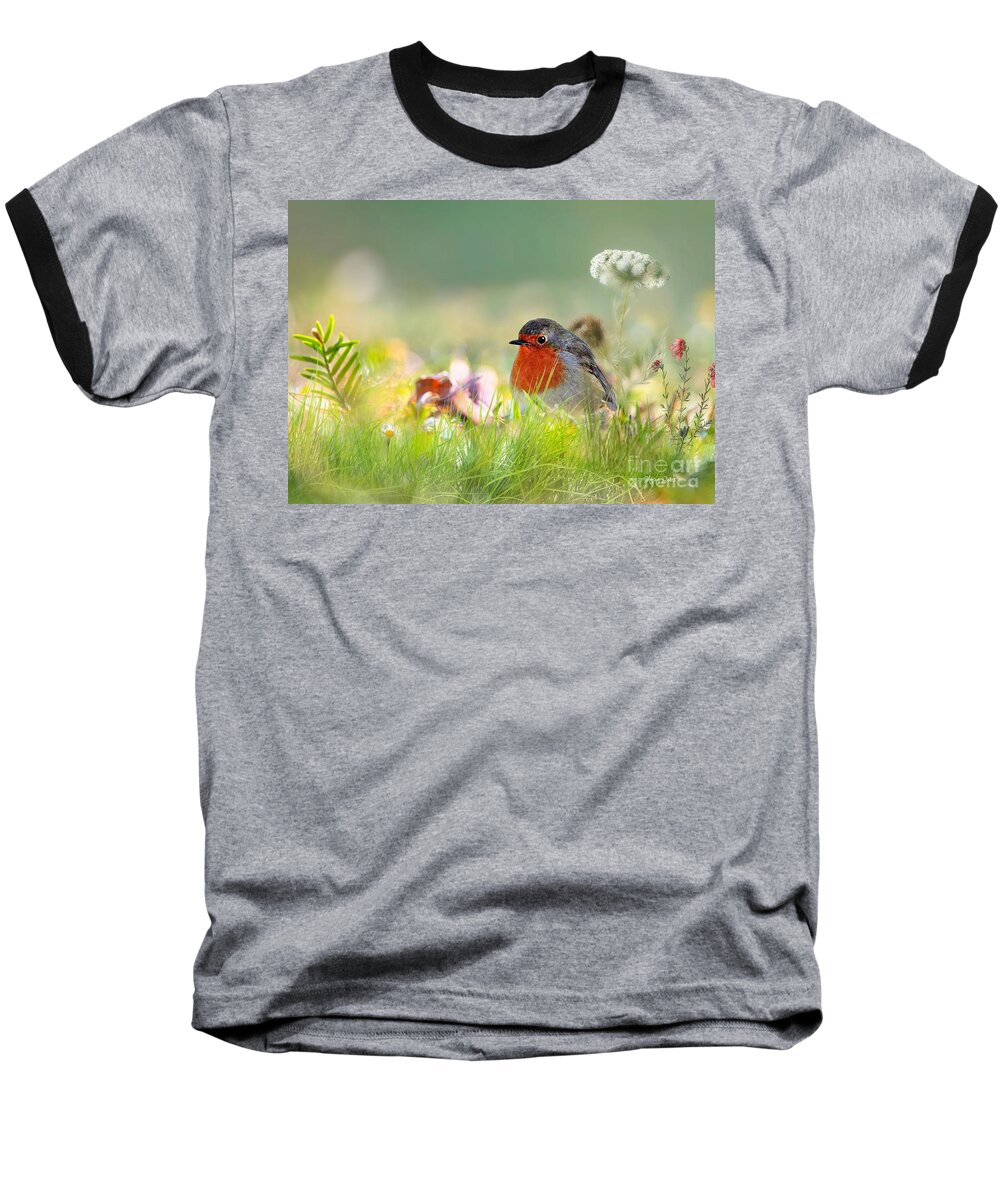 Robin Baseball T-Shirt featuring the mixed media Robin Red Breast by Morag Bates