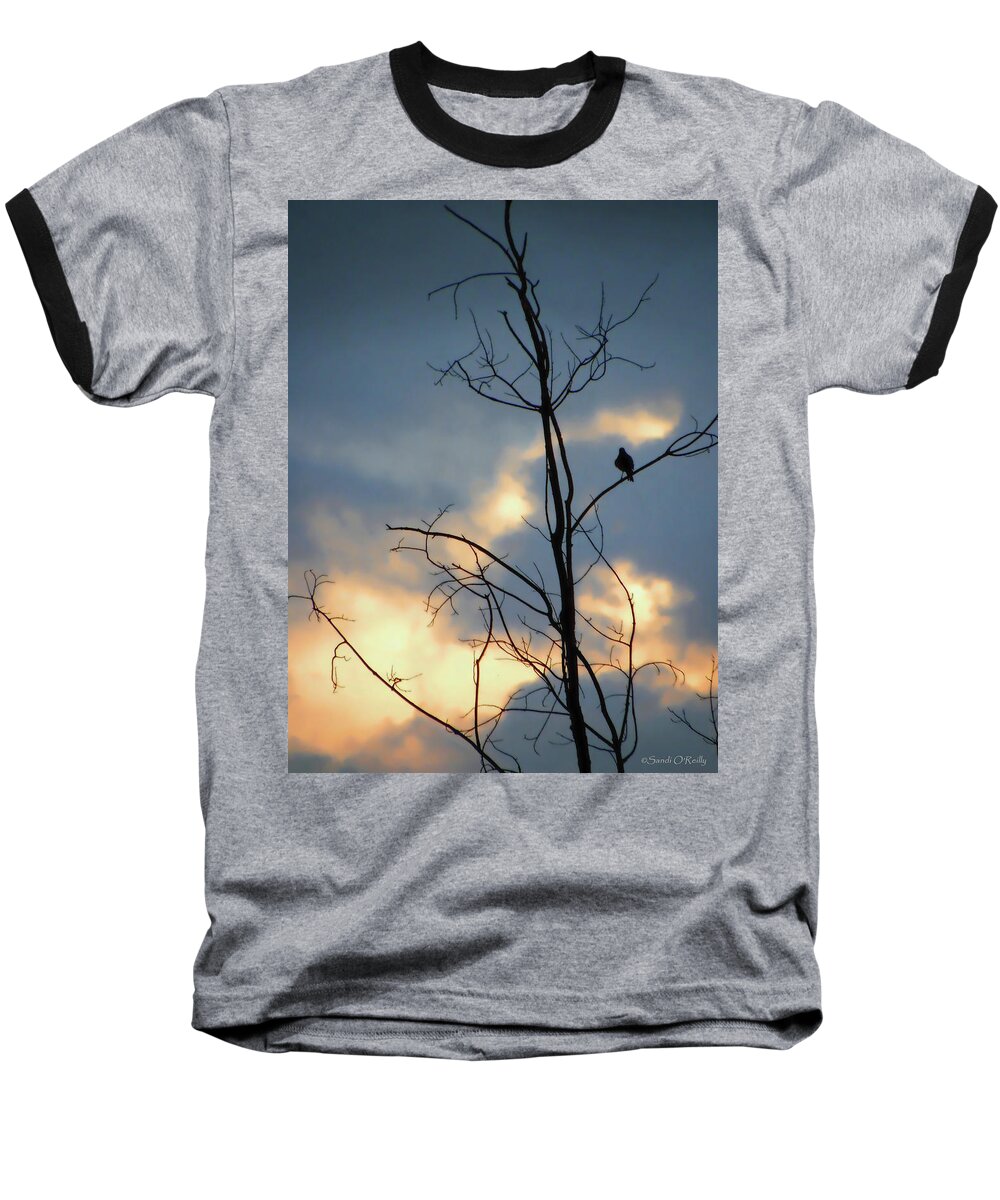 Robin Baseball T-Shirt featuring the photograph Robin Watching Sunset After The Storm by Sandi OReilly