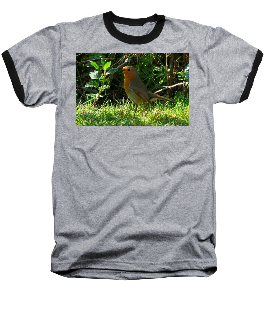 Robin Baseball T-Shirt featuring the photograph Robin2 by John Topman