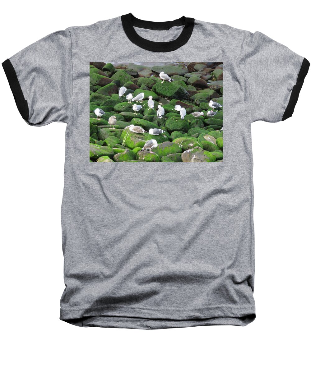 La Jolla Cove Baseball T-Shirt featuring the photograph Rocks and Gulls by Keith Stokes