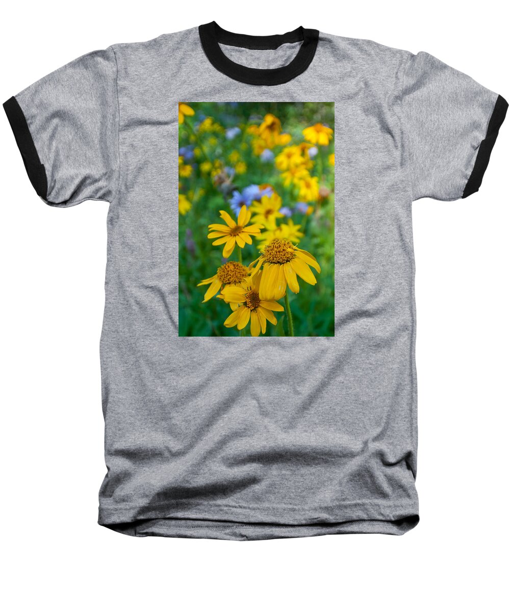 Rocky Mountain Baseball T-Shirt featuring the photograph Rocky Mountain Wildflowers by Cascade Colors