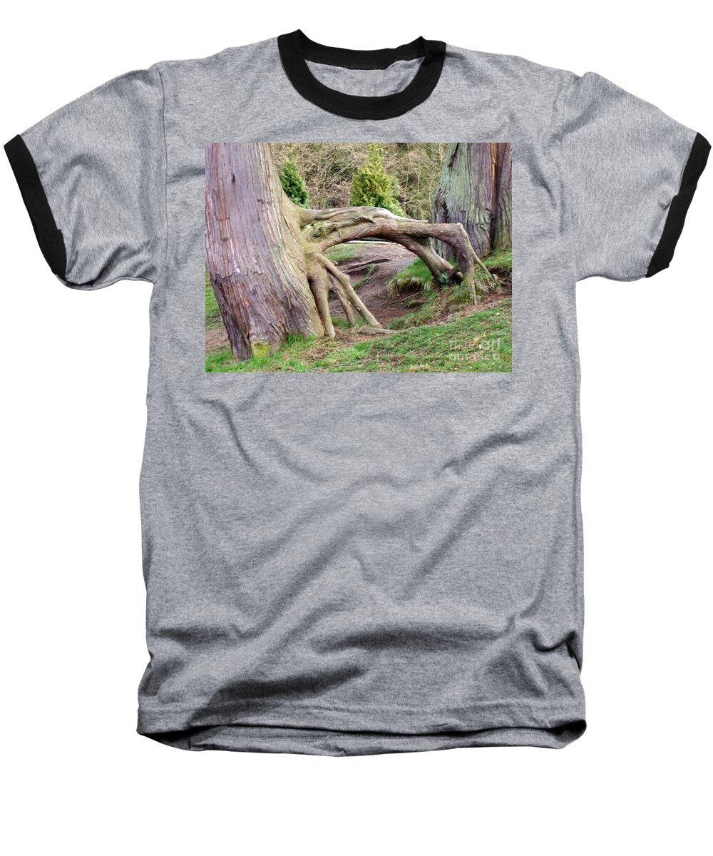 Tree Baseball T-Shirt featuring the photograph Roots of Strength by Mary Mikawoz
