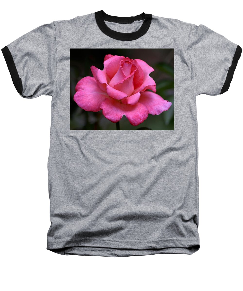 Rose Baseball T-Shirt featuring the photograph Rose 3837_3 by Steven Ward