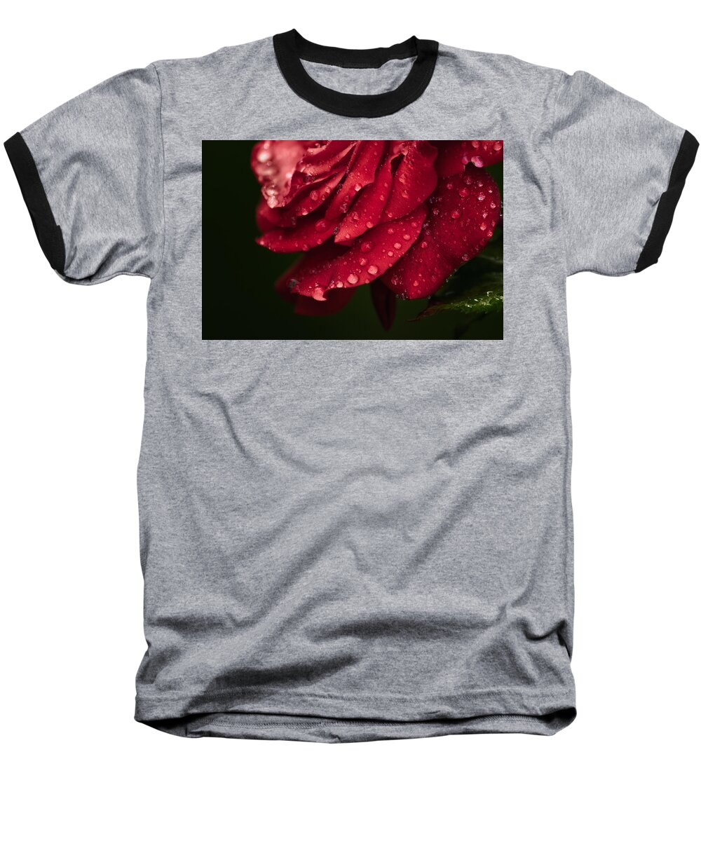Rose Baseball T-Shirt featuring the photograph Rose by Craig Szymanski