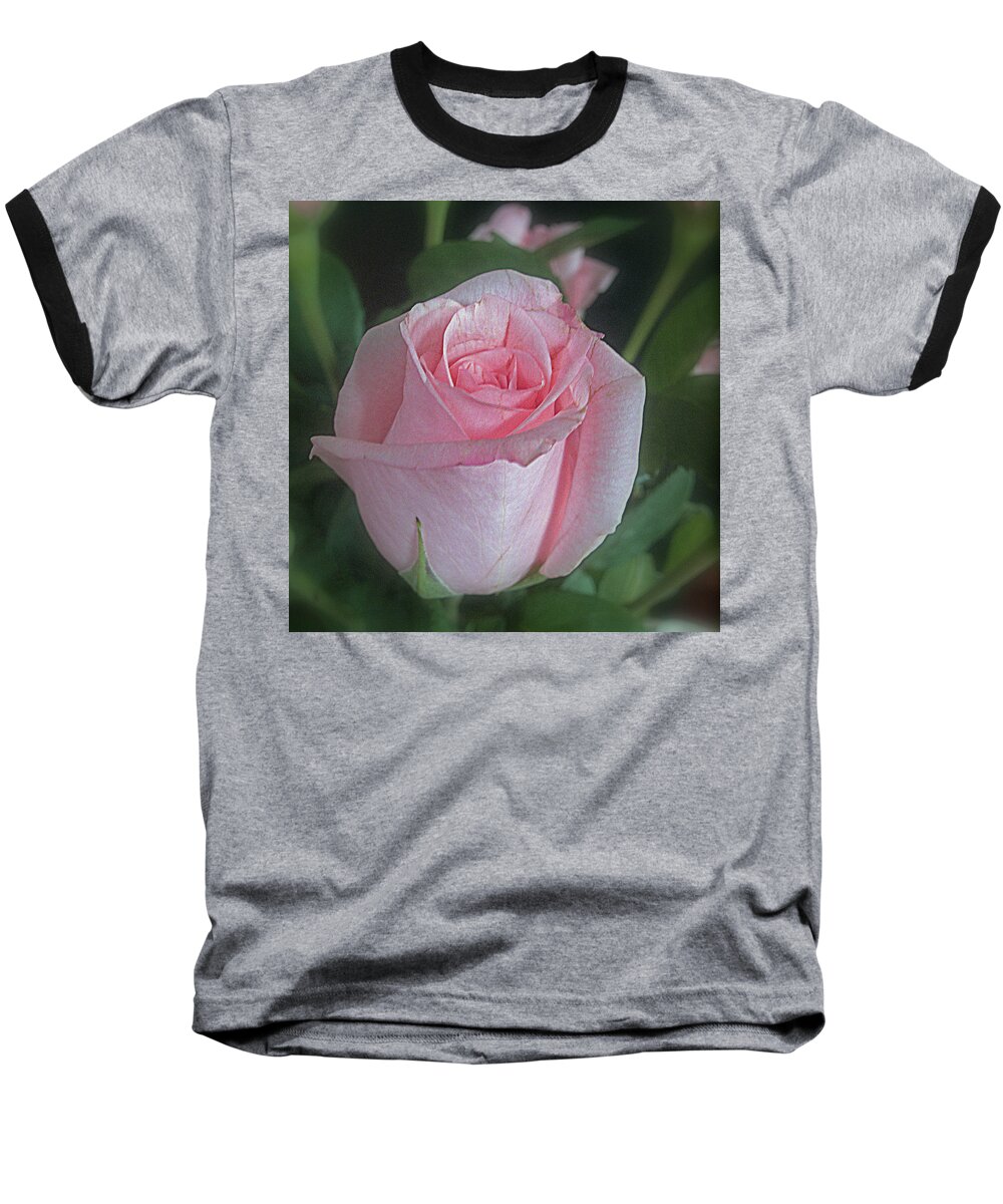 Rose Baseball T-Shirt featuring the photograph Rose Dreams by Suzy Piatt