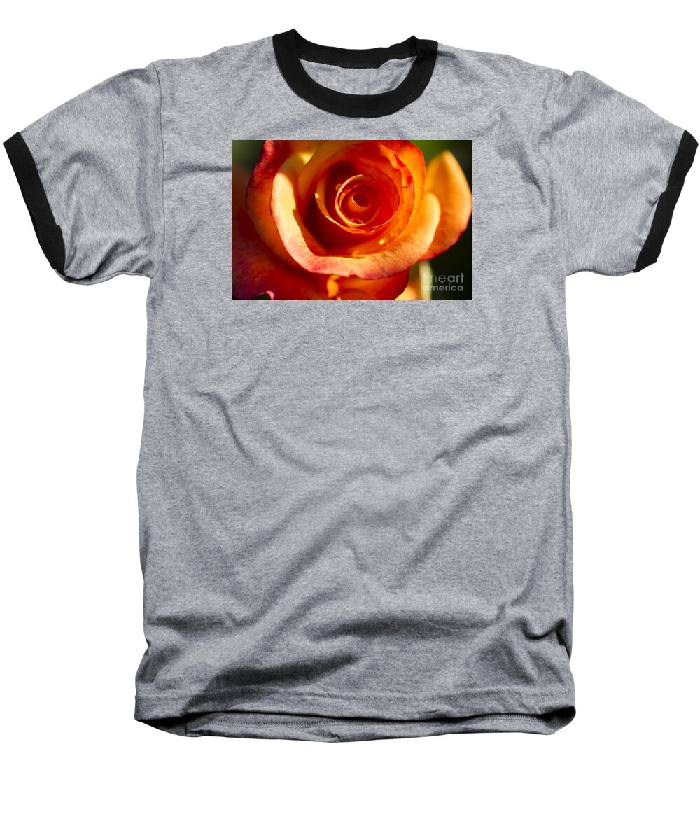 Flower Baseball T-Shirt featuring the photograph Rose Glow by Jeanette French