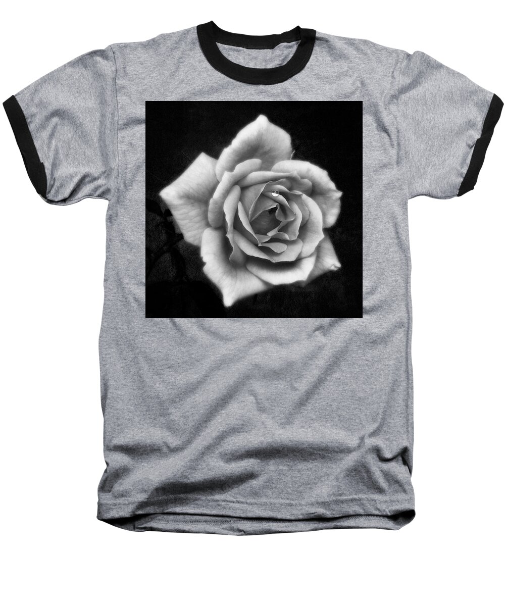 Beautiful Baseball T-Shirt featuring the photograph Rose In Mono. #flower #flowers by John Edwards