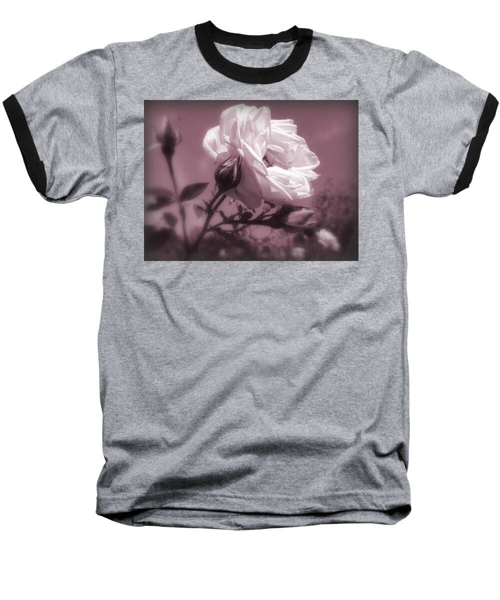 New Dawn Climbing Rose Baseball T-Shirt featuring the photograph Rose in Rose by Susan Lafleur