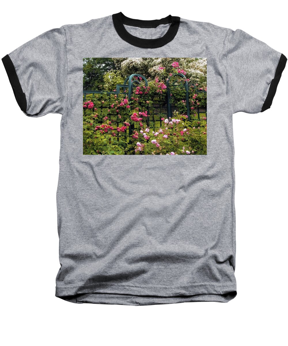 Nature Baseball T-Shirt featuring the photograph Rose Trellis by Jessica Jenney