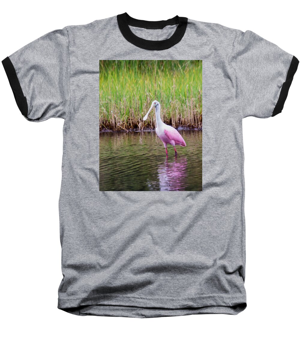 Wildlfe Baseball T-Shirt featuring the photograph Roseate Spoonbill by Patricia Schaefer