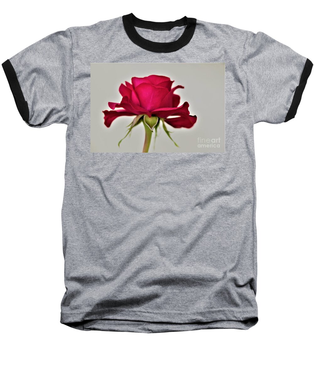  Single Baseball T-Shirt featuring the photograph Roses Are Red by Tracey Lee Cassin