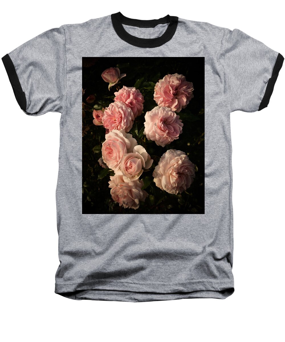 Roses Baseball T-Shirt featuring the photograph Roses Aug 2017 by Richard Cummings