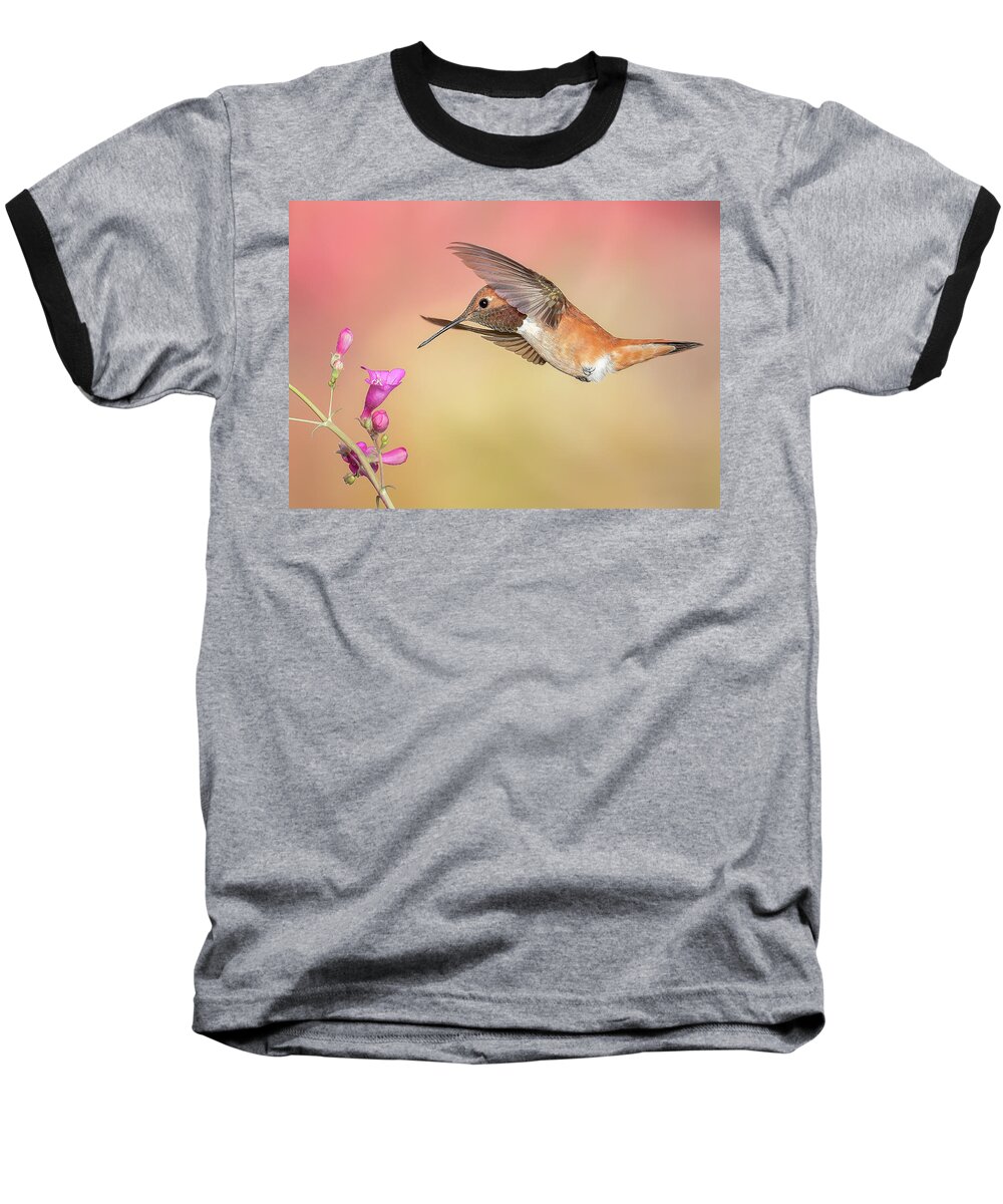 American Southwest Baseball T-Shirt featuring the photograph Rufous Hummingbird with Penstemon by James Capo