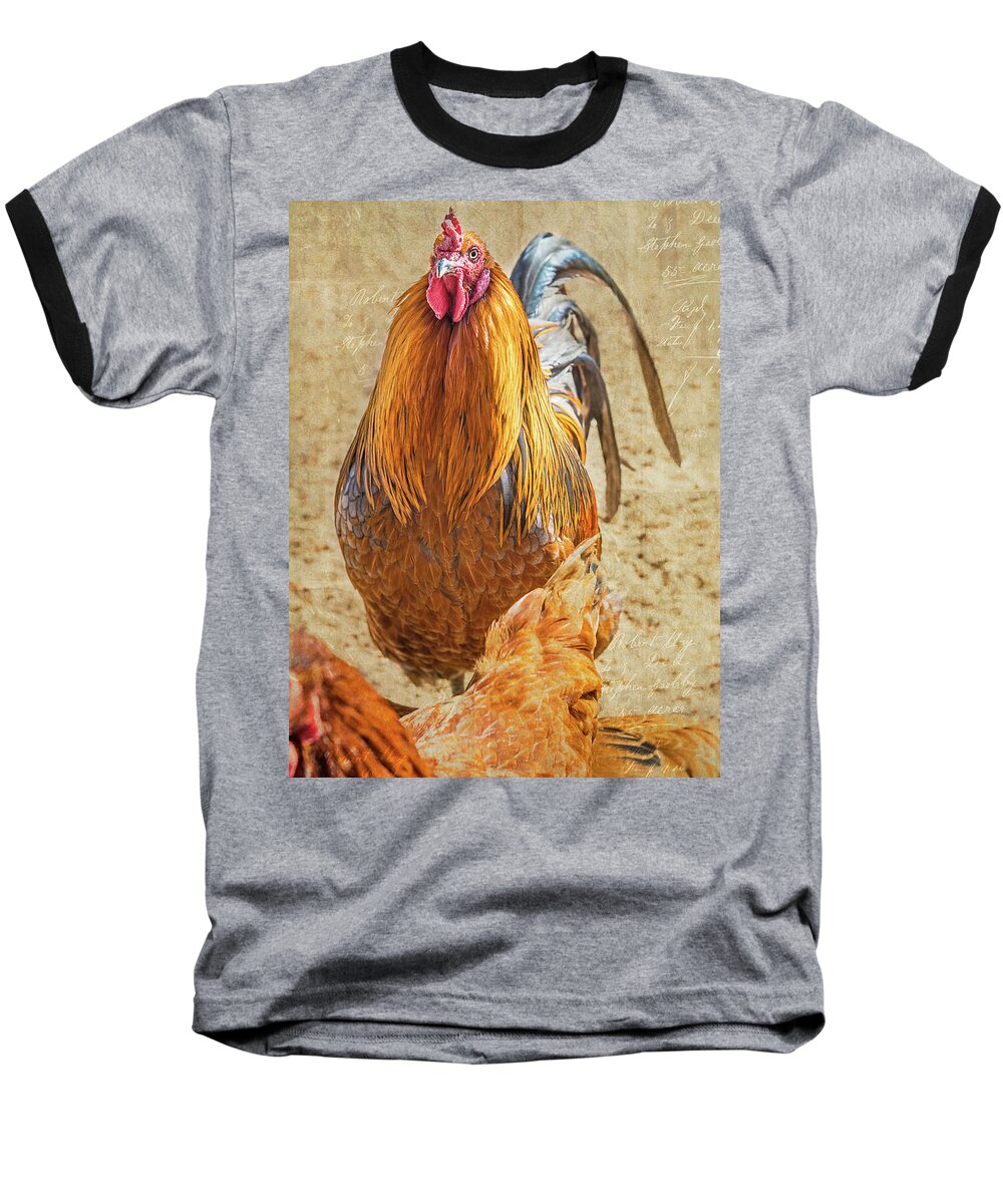 Chicken Baseball T-Shirt featuring the photograph Ruler of the Roost by Jennifer Grossnickle