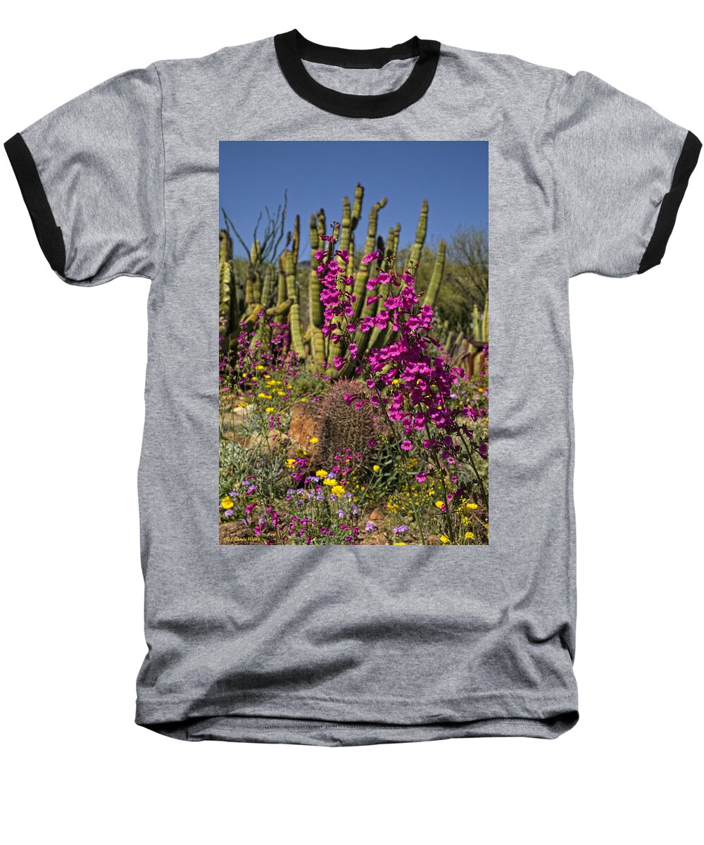 Arizona Baseball T-Shirt featuring the photograph Rythmn Of The Desert Floor by Lucinda Walter