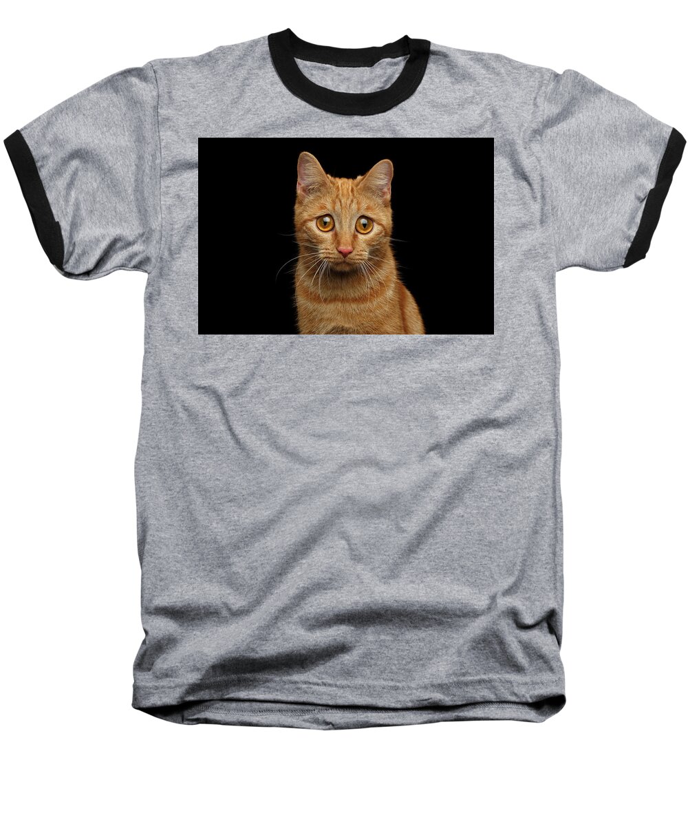 Cat Baseball T-Shirt featuring the photograph Sad Ginger Cat by Sergey Taran