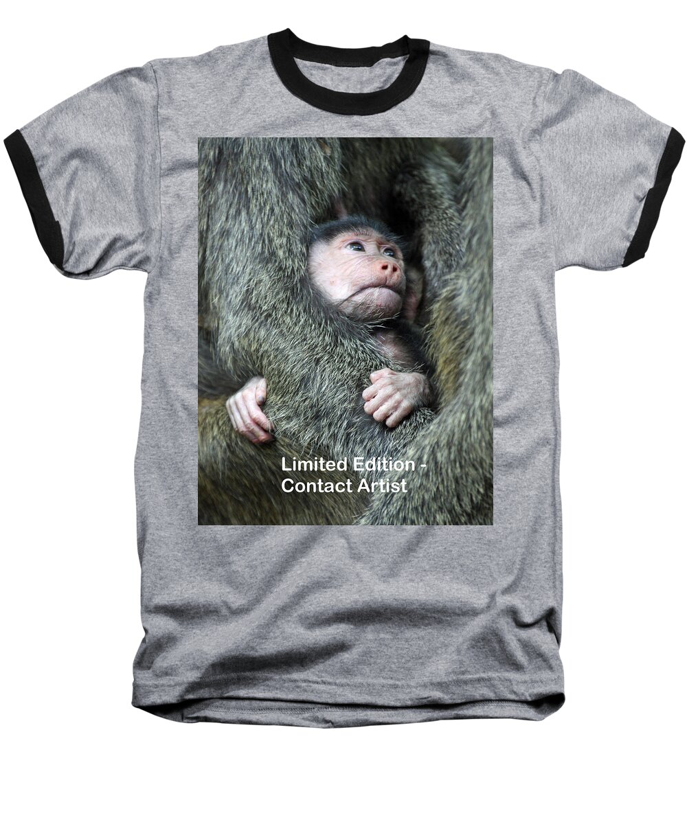 Olive Baboon Baseball T-Shirt featuring the photograph Safe in mother's arms by David Beebe