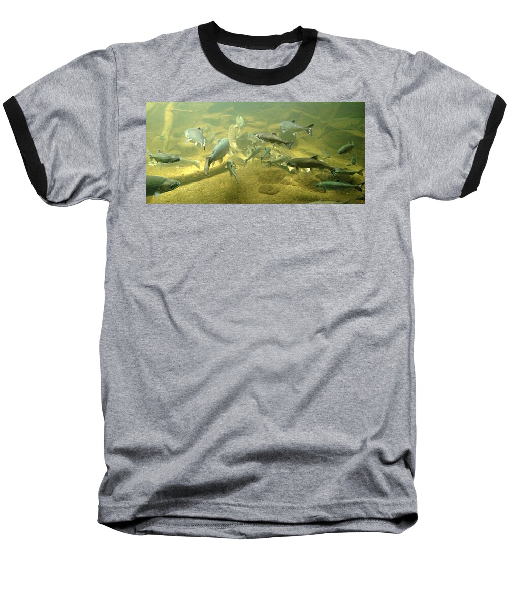 Nature Baseball T-Shirt featuring the photograph Salmon and Sturgeon by KATIE Vigil