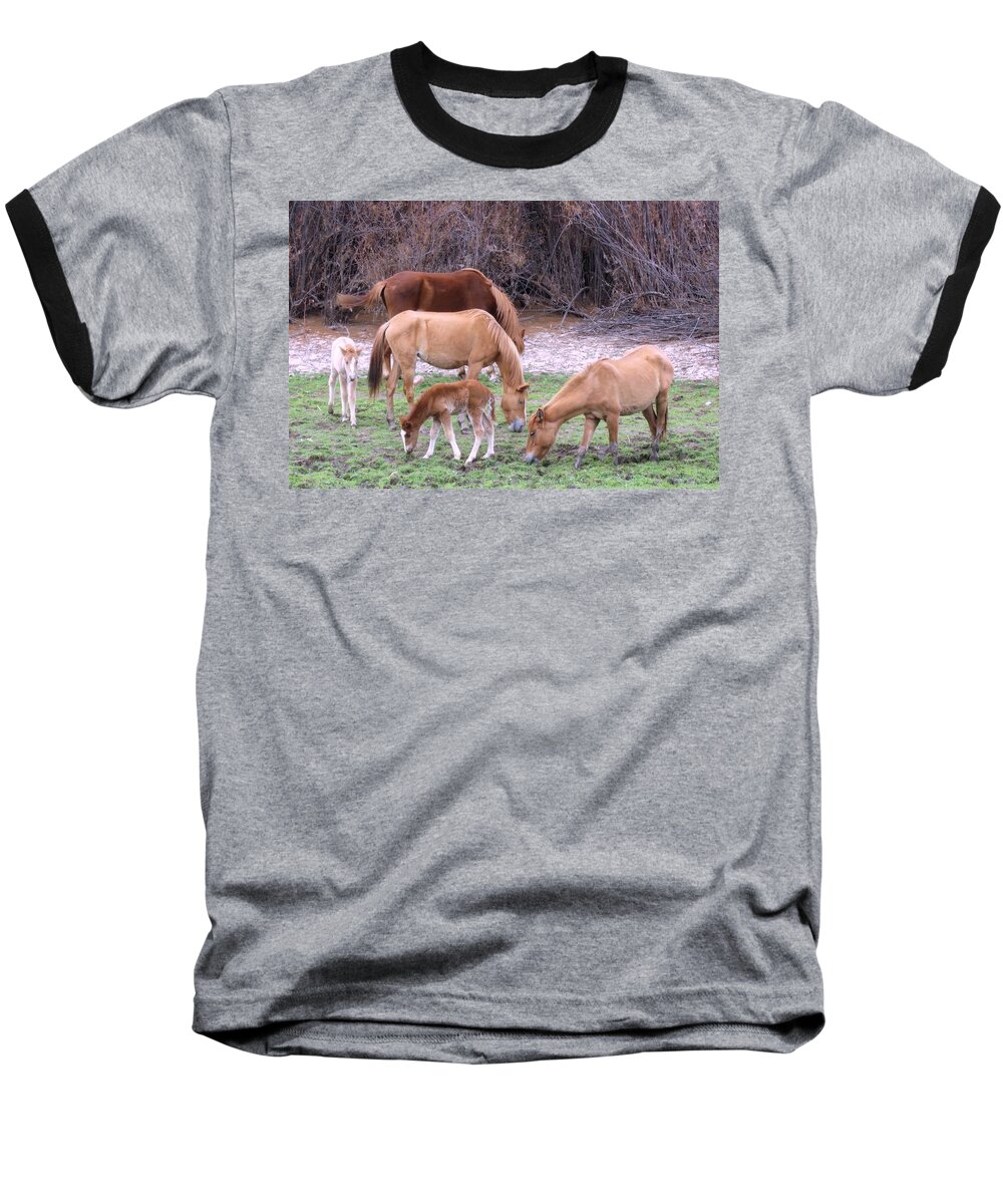 Arizona Baseball T-Shirt featuring the photograph Salt River Wild Horses in Winter by Judy Kennedy
