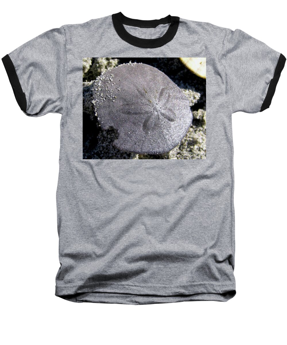 Sand Baseball T-Shirt featuring the photograph Sand Dollar by 'REA' Gallery
