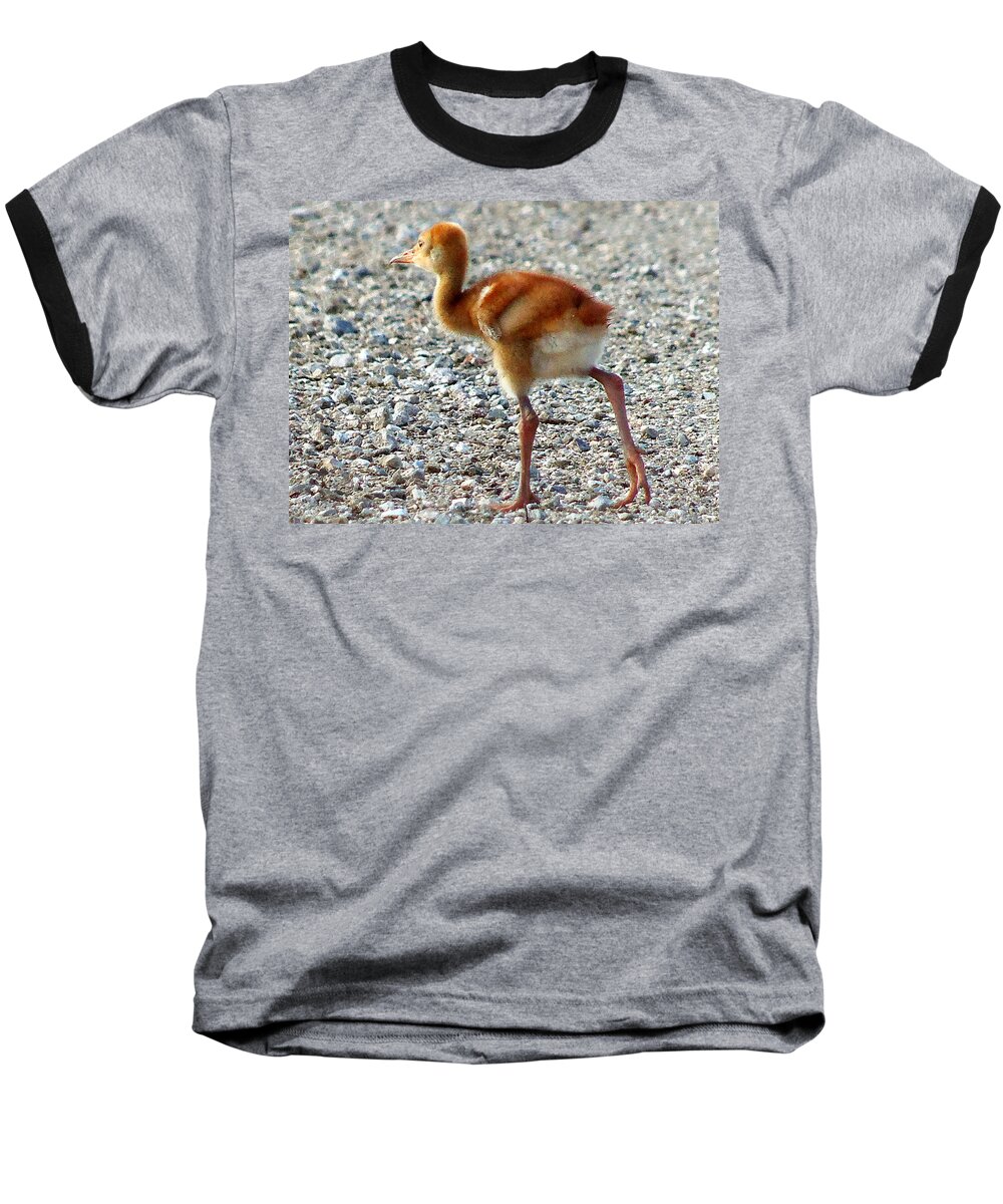 Animals Baseball T-Shirt featuring the photograph Sandhill Crane Chick 003 by Christopher Mercer