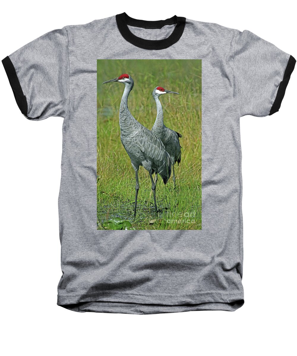 Sandhill Cranes Baseball T-Shirt featuring the photograph Sandhill Cranes He and She by Larry Nieland