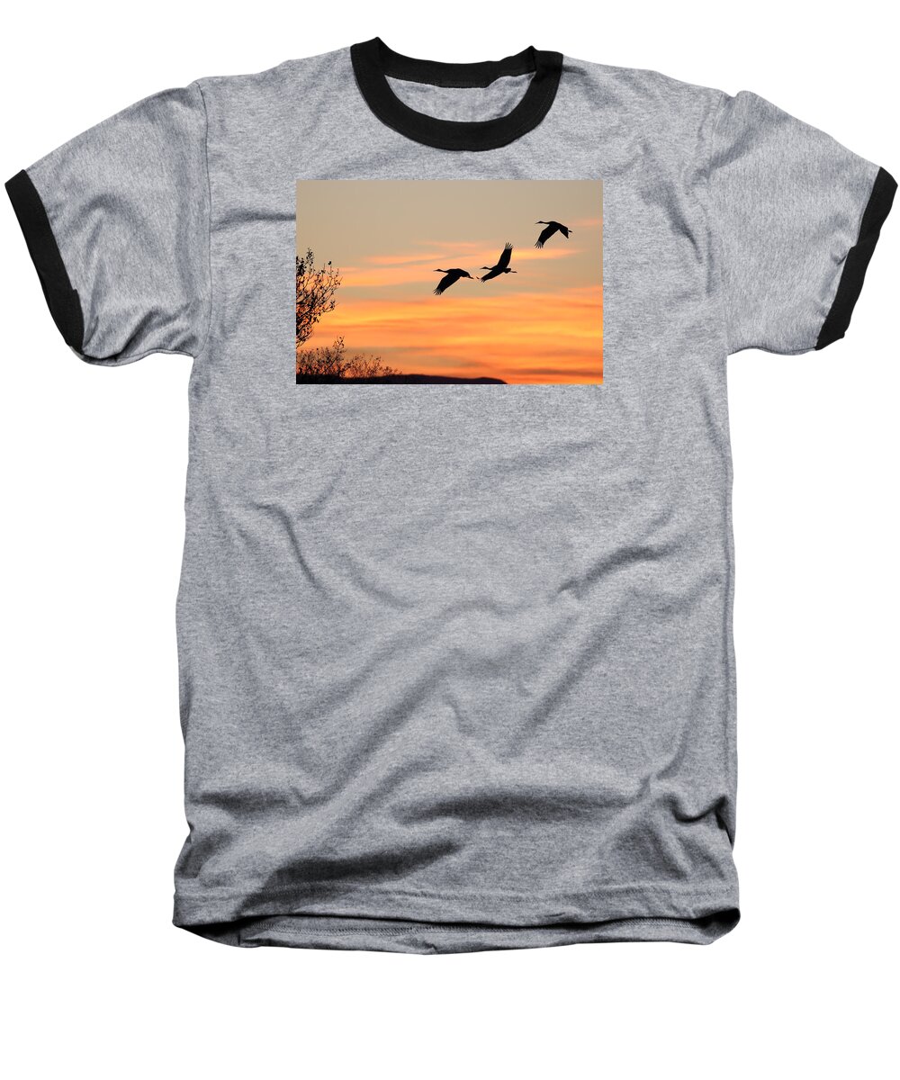 Sandhill Baseball T-Shirt featuring the photograph Sandhill Sunrise Three by Jean Clark